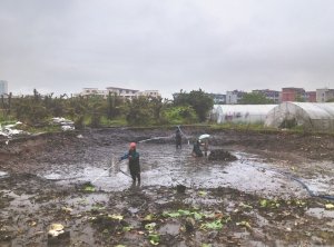 吴江河道鱼塘清淤